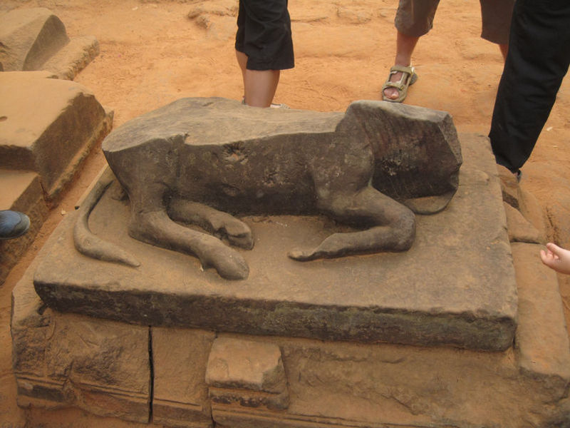 Destroyed sculpture of sacred bull Nandi (Vahana of Shiva) by religious fanatics. Territory of Bantei Srei temple (967 A.D.)