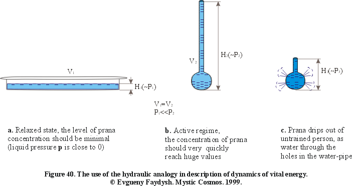 Figure 40. The use of the hydraulic analogy in description of dynamics of vital energy.