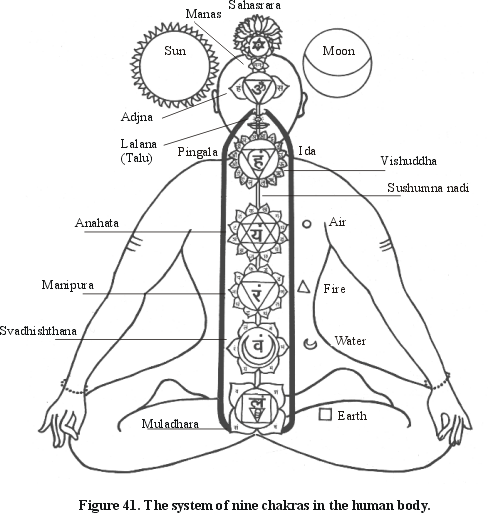 Figure 41. The system of nine chakras in the human body.