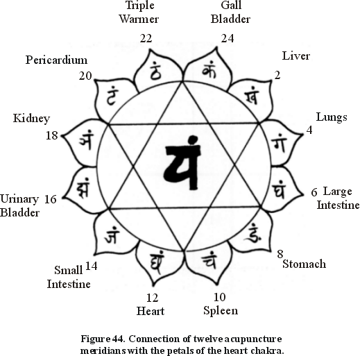 Figure 44. Connection of twelve acupuncture meridians with the petals of the heart chakra.