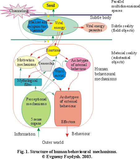 Fig. 1. Structure of human behavioural mechanisms.